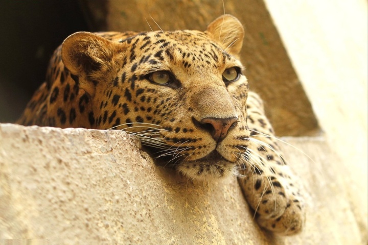 Waiting for weekend AnteAr