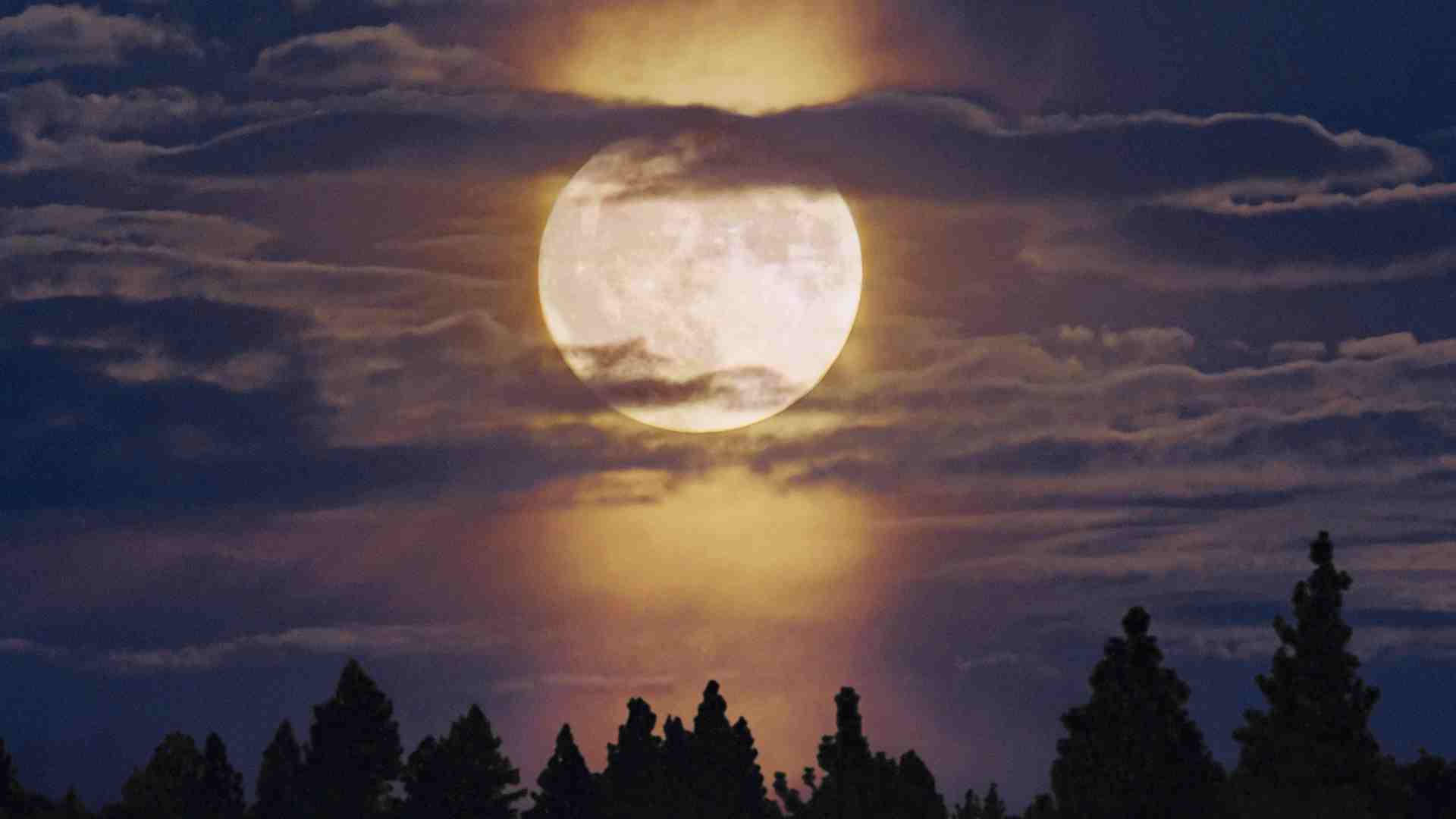 Spln vo Váhach 28. marec 2021 AnteAr